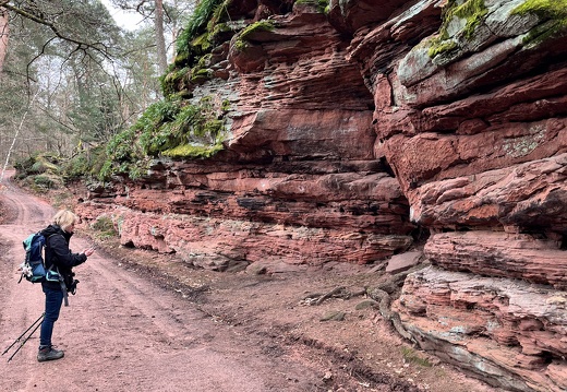 24-03-01 13-06-58 8871